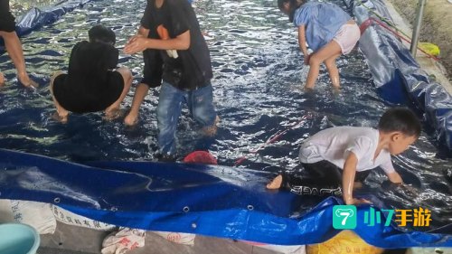 抓鱼游戏