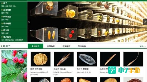 在线种子资源库