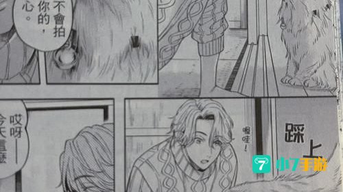雪之妖精