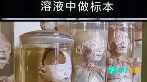 历史的残片