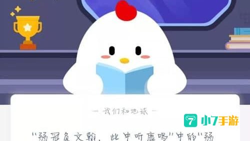 弱冠负文翰
