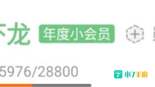 b站年度小会员