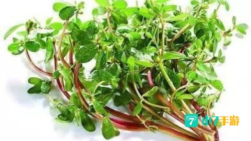 古时候僧人不沾荤腥